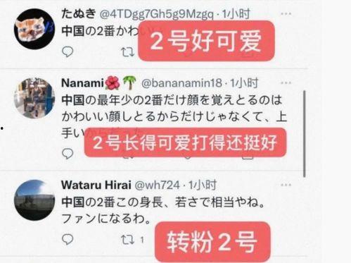 山东最近爆料新闻视频,视频揭露惊人真相,引发社会关注 第3张 山东最近爆料新闻视频,视频揭露惊人真相,引发社会关注 第3张